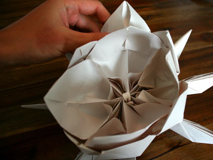 How to Make a Floating Lotus Flower Paper Lantern