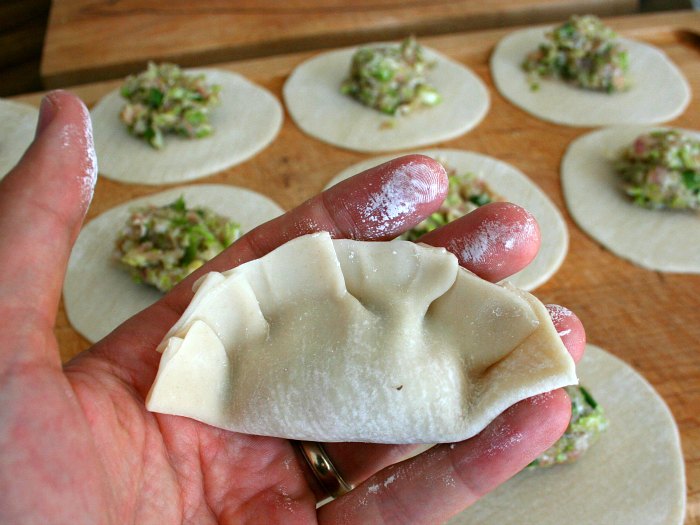 Traditional Pork Dumplings