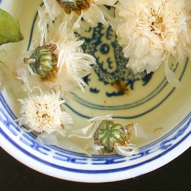 Drink Chrysanthemum Tea